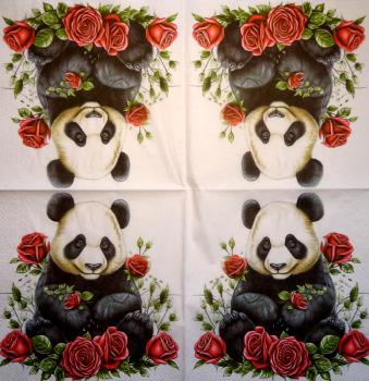 086 Teddy - 4 ply - Sniff Handkerchief
